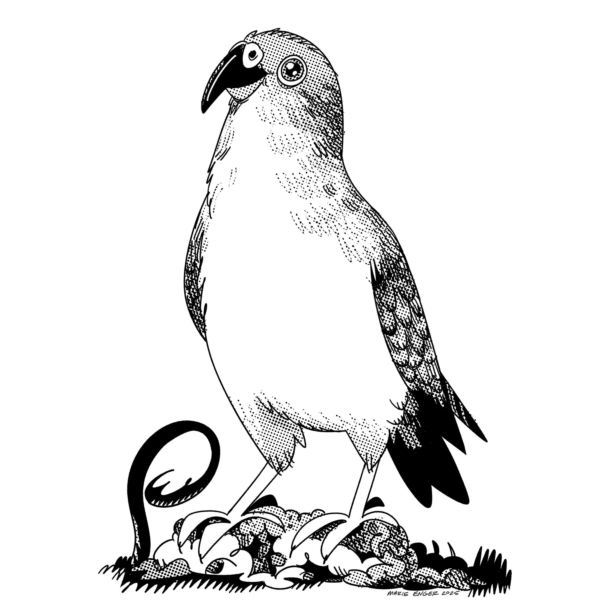 WTF IS THAT? -Commission