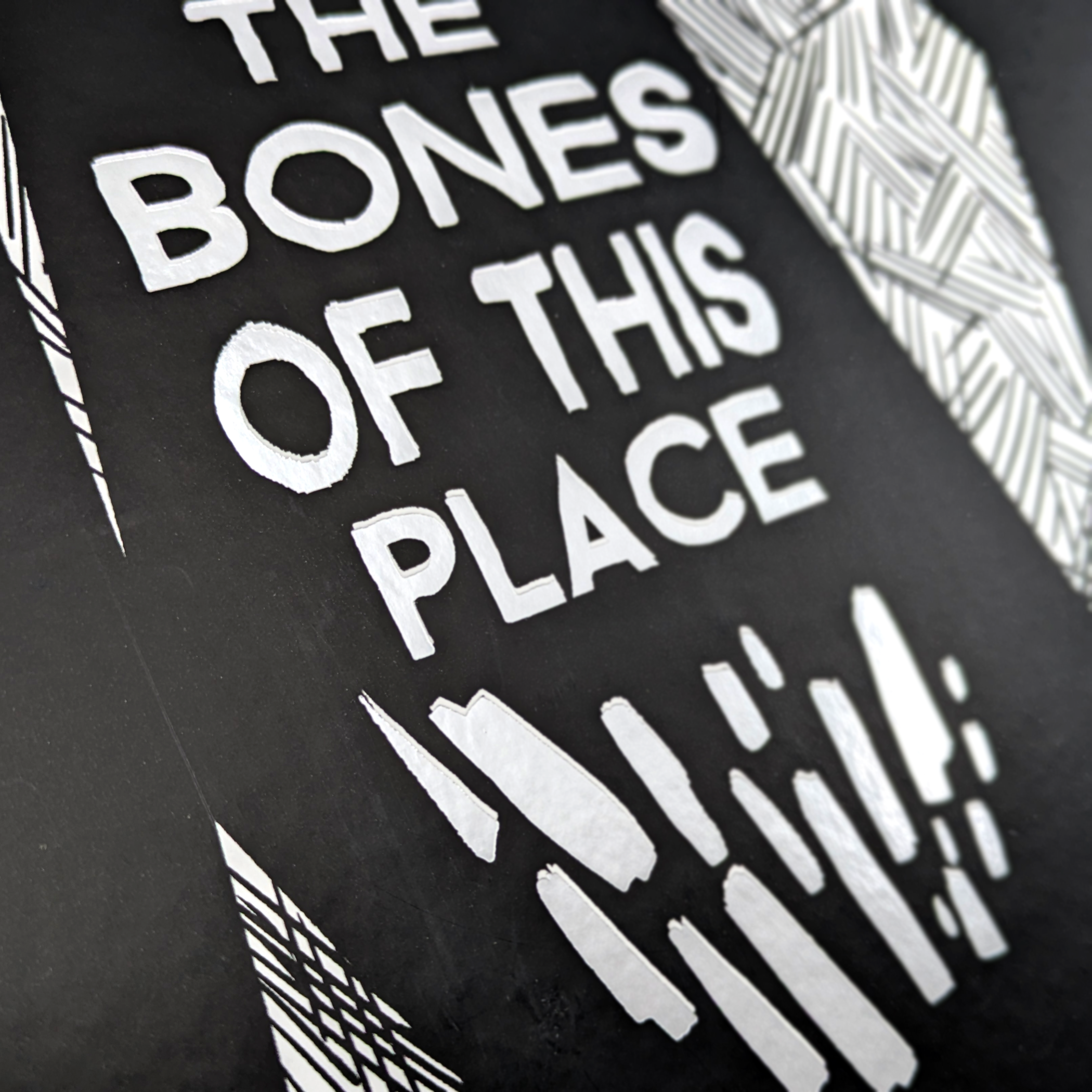 The Bones of This Place Hardcover Edition